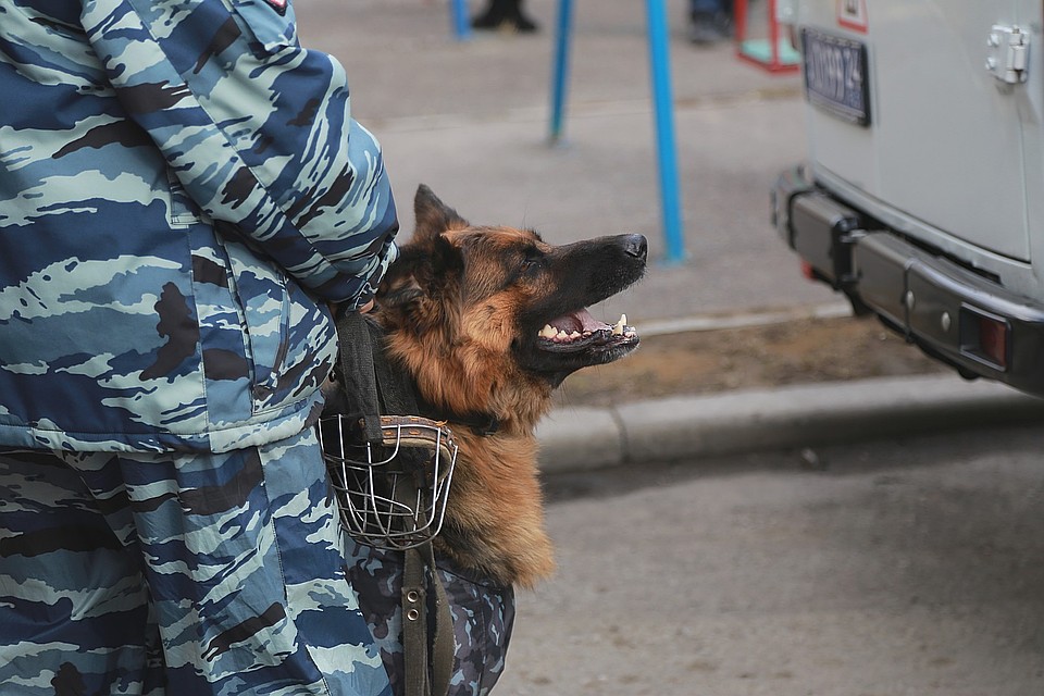 В квартире нашли снаряд. В Красноярске оцепили жилой дом на Коломенской