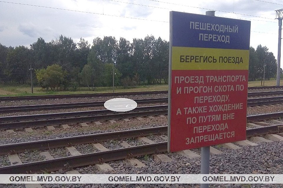Тело погибшего было найдено рядом с настилом через железнодорожные пути. Фото: УВД Гомельского облисполкома.