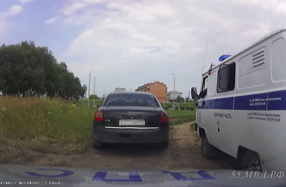Фото: скриншот с видео (55.мвд.рф)