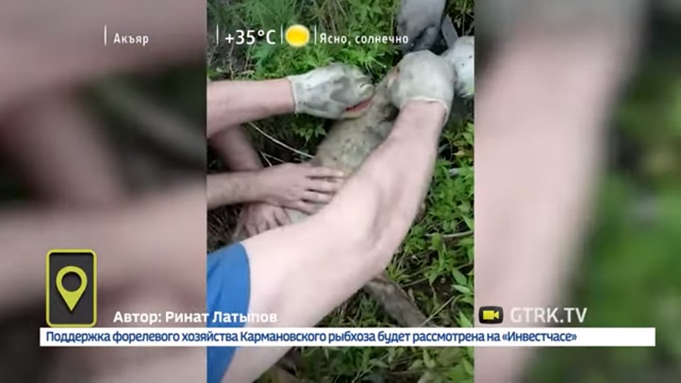 Фото: ГТРК "Башкортостан"