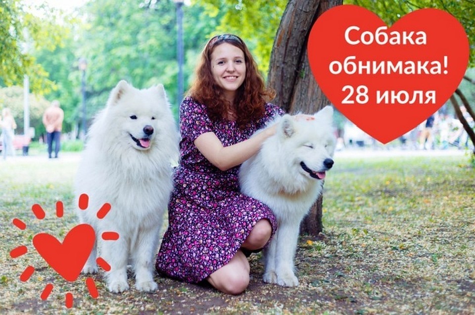 Акция - один сплошной позитив: пермяки общаются с собаками, бездомные животные получают помощь, а фотографы могут "набить руку". Фото: организаторы акции.