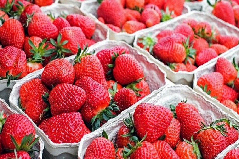 В Кишиневе прошел фестиваль Summer Berry Fair