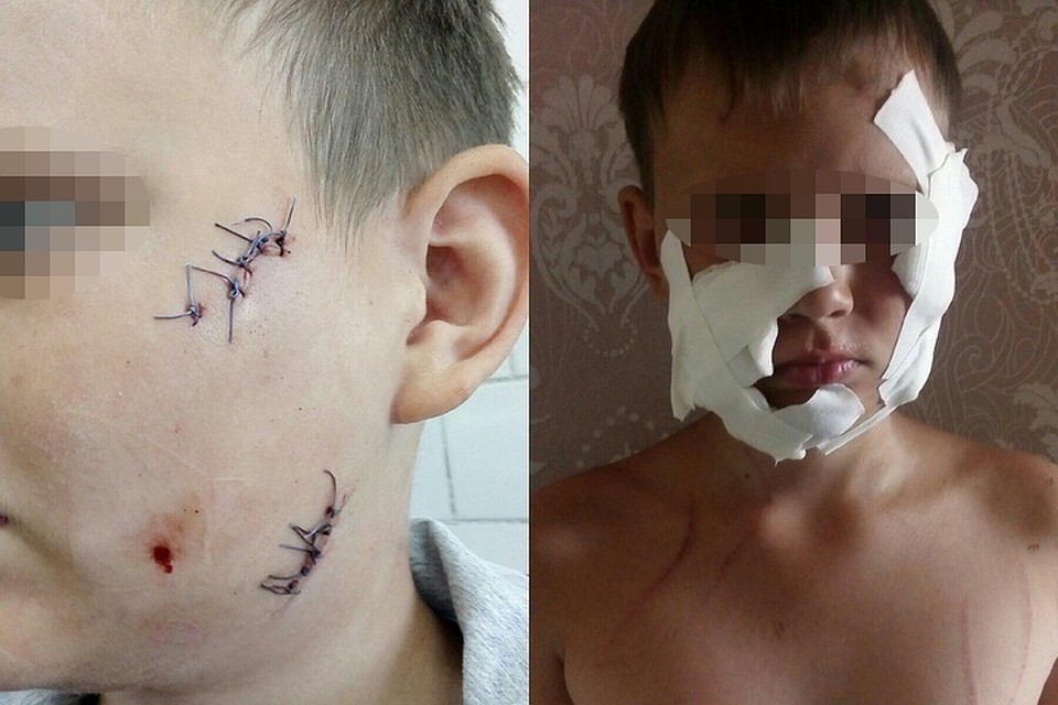 Фото: соцсети