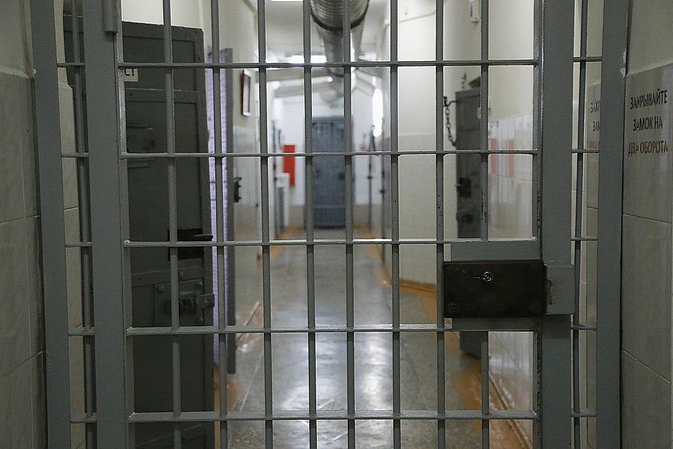 В Красноярском крае депутат незаконно вырубил сосновый лес
