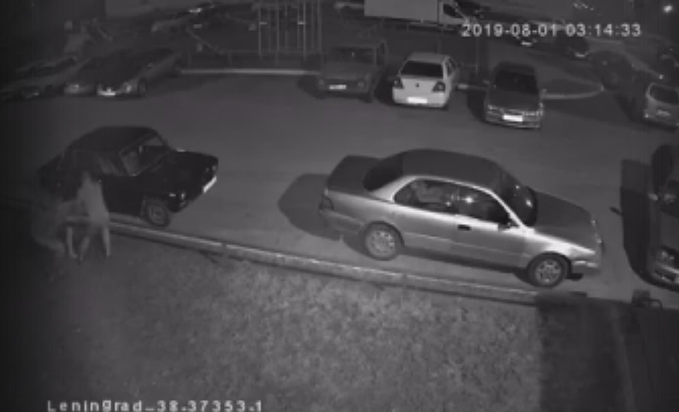 Фото: скрин с записи камер видеонаблюдения с места событий