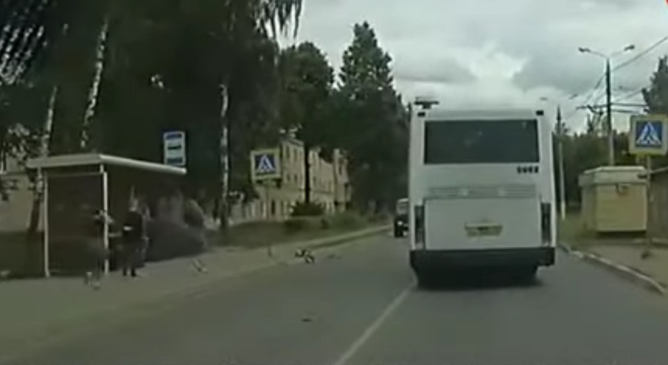Фото: стоп-кадр видео