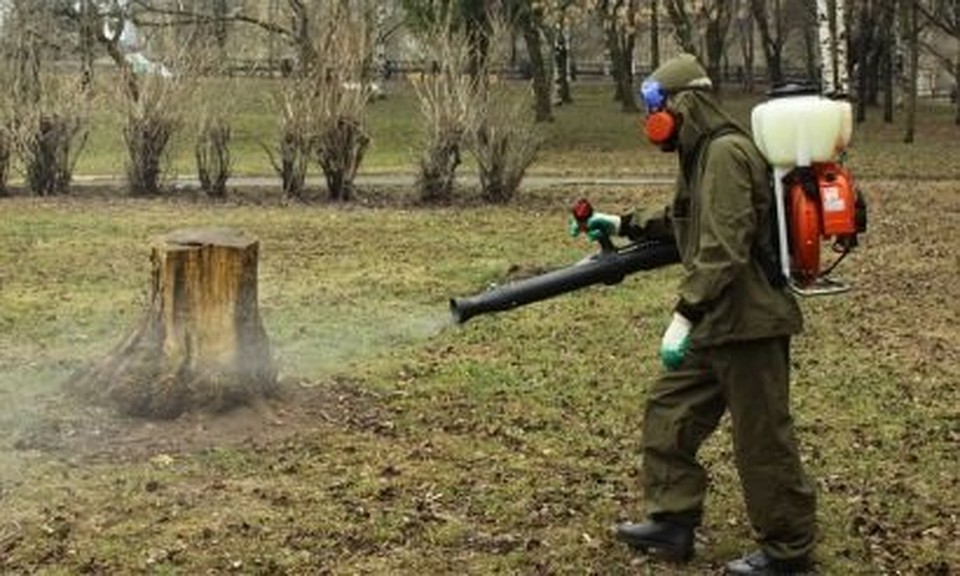 Тюменские кладбища подвергнутся противоклещевой обработке. Фото - пресс-служба администрации города Тюмени.