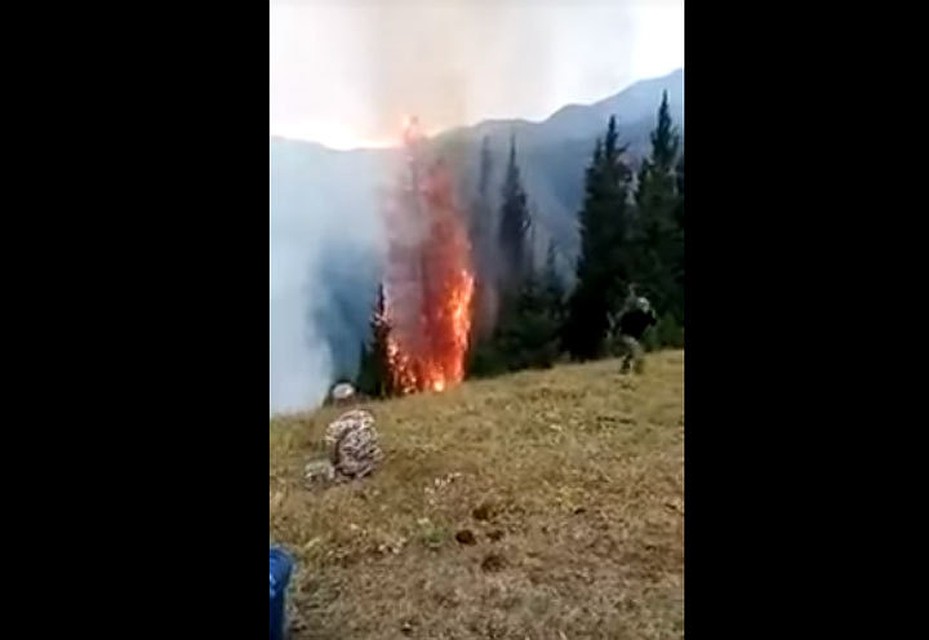 Огонь частично перебрался на деревья на склоне гор.