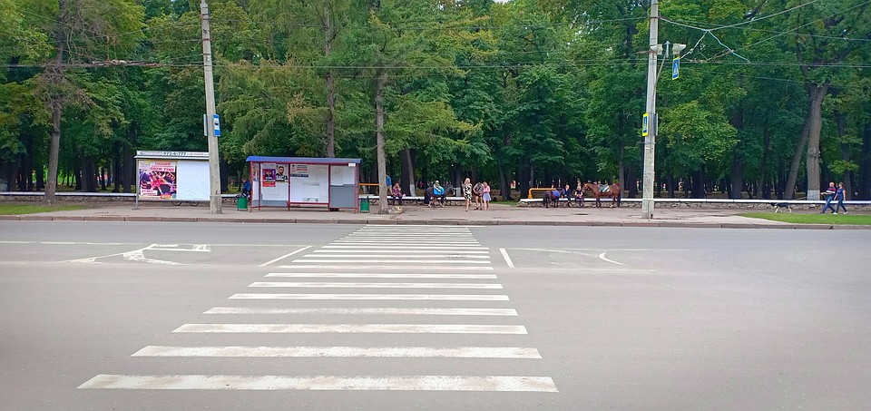 Фото: самарское отделение ОНФ