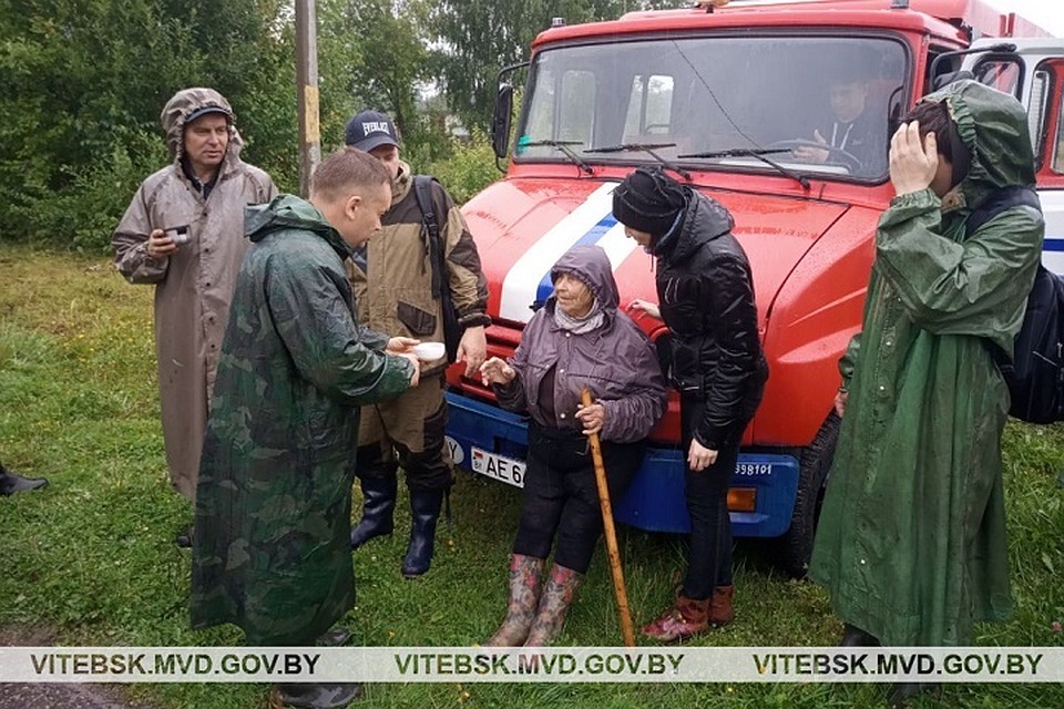 Женщина пошла в лес за грибами и потерялась. Фото: УВД Витебского облисполкома.