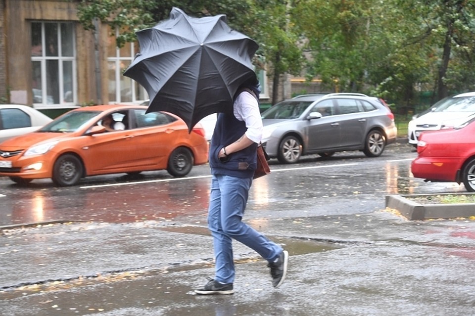 Погода в Хабаровске на 16 августа 2019 года: до +20, сильный дождь