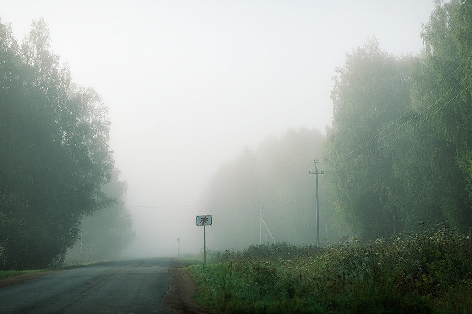 Фото: Геннадий Васильев