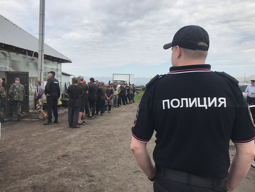 В теплицах Аргаяшского районе провели спецоперацию.