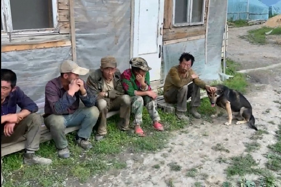 В Ленинградской области овощи в теплицах выращивали нелегальные мигранты. Фото: Пресс-служба ГУ МВД по СПб и ЛО.