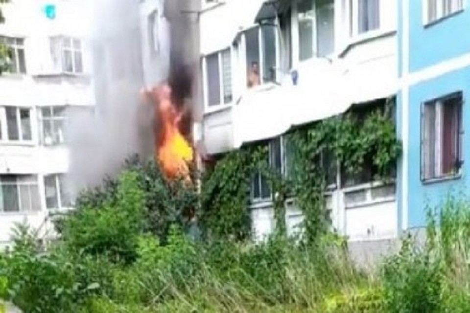 К счастью, все живы (Фото: соцсети).