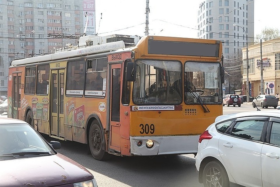 Троллейбус 8 ходит от ВГУ до остановки "Школа" на Ленинском проспекте.