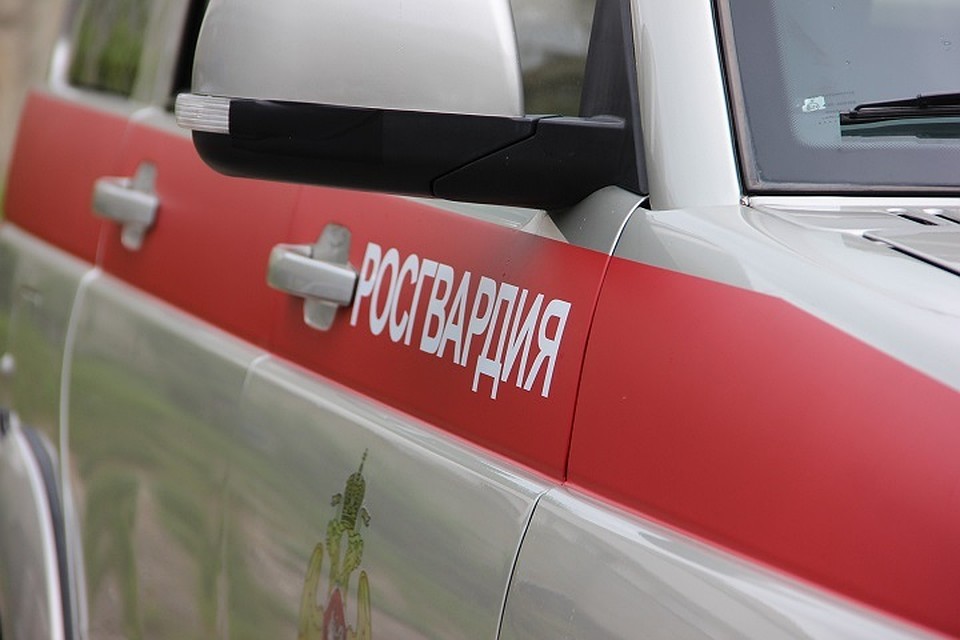 Сотрудники Росгвардии по "горячим" следам задержали магазинного вора в Ярославле. ВК/Росгвардия_Ярославль