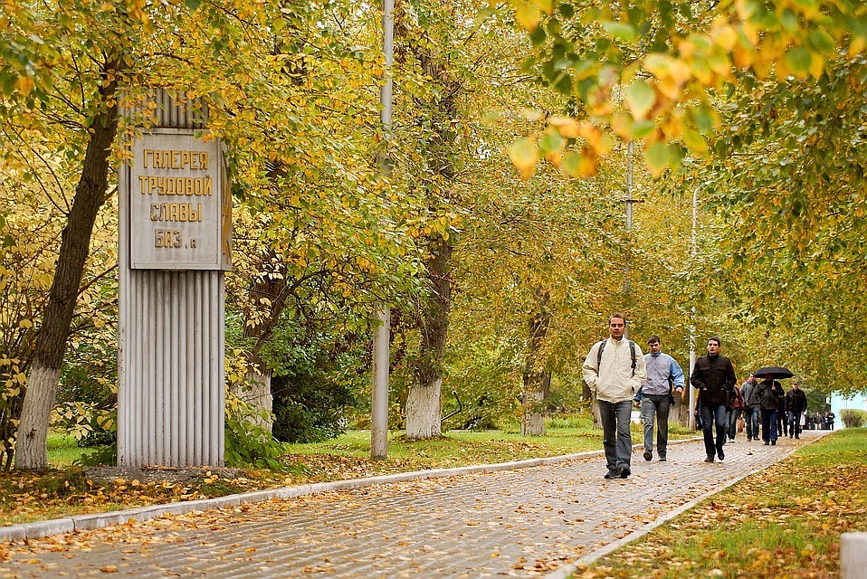 Скоро в город придет золотая осень