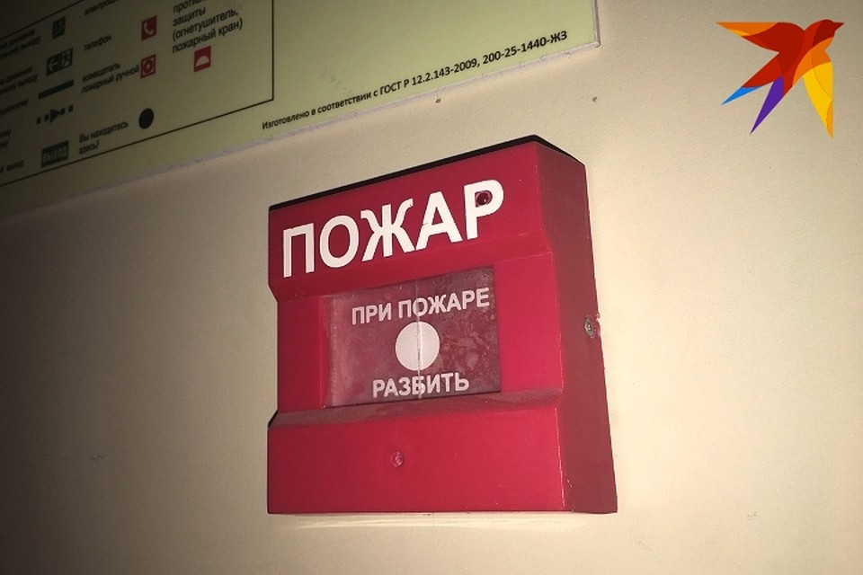 Администрация учреждения экстренно эвакуировала всех из здания еще до приезда огнеборцев.