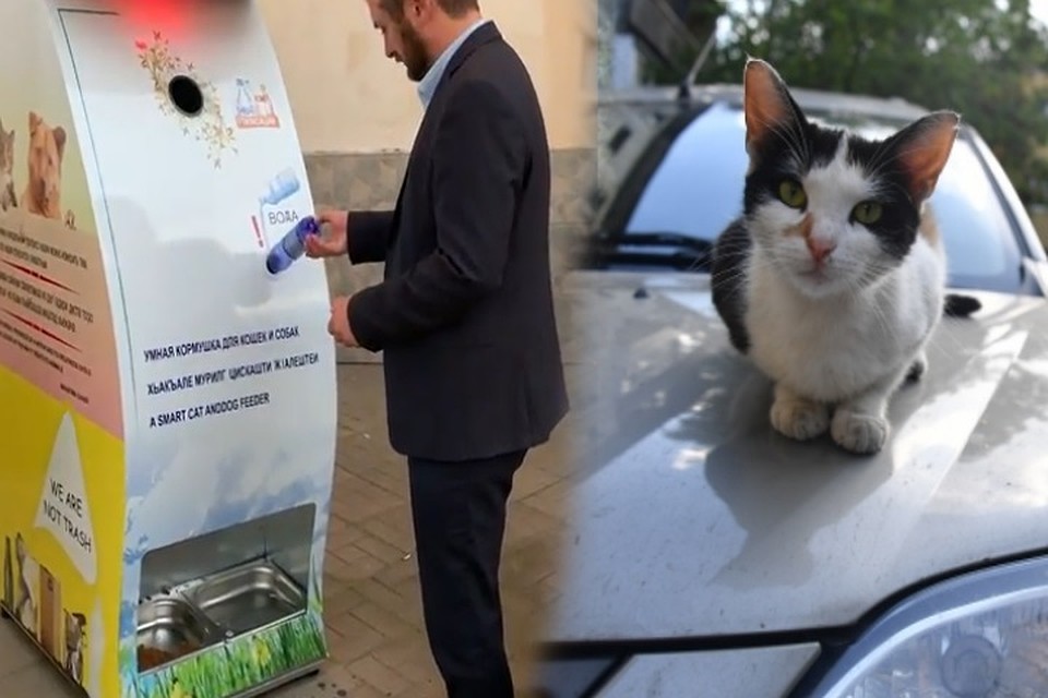 Корм покупают на деньги от переработки пластика