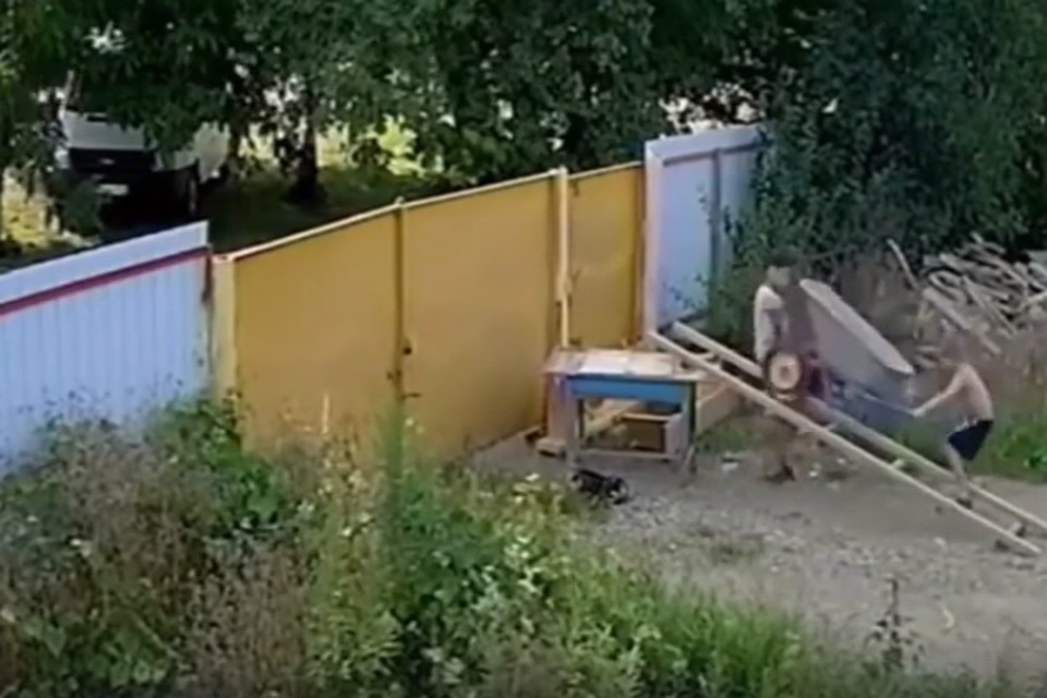 Фото: скриншот из видео