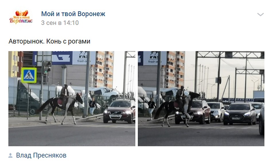 Фото: скриншот соцсети.