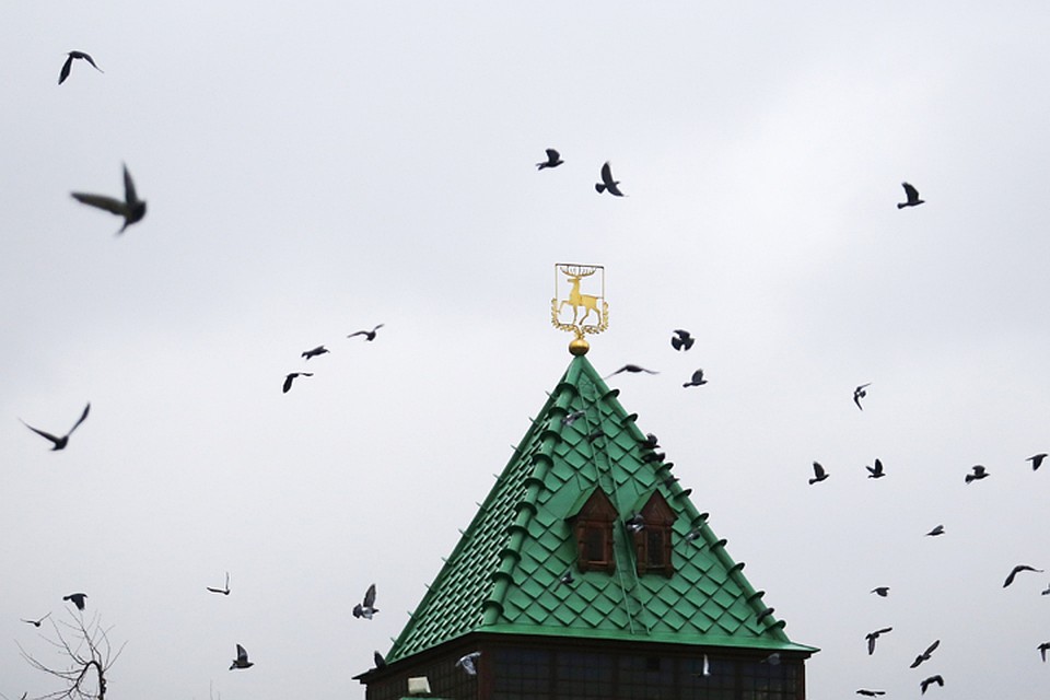 Нижегородские власти заговорили о переезде