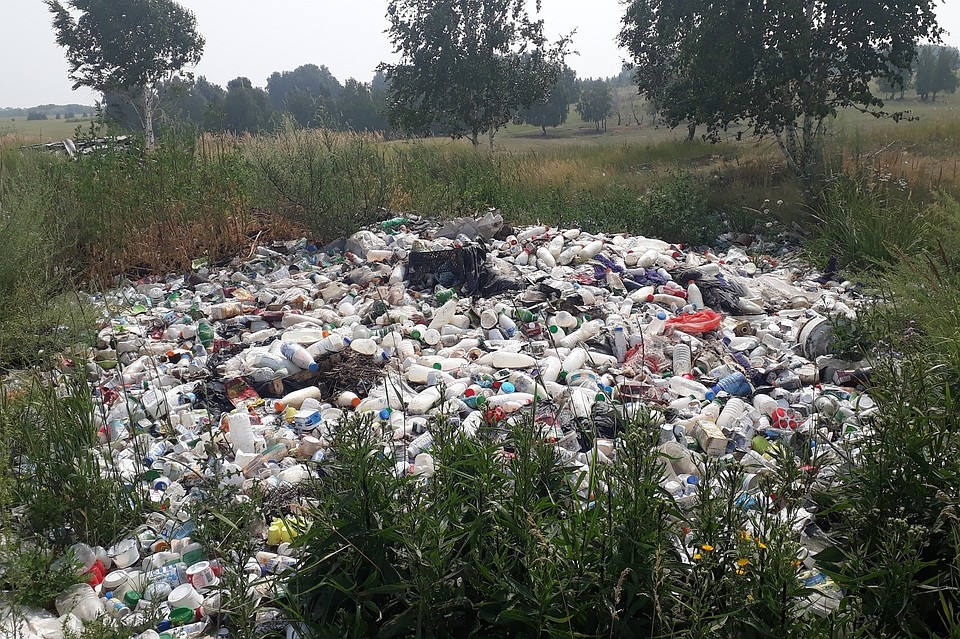 Здесь стоит сильный запах тухлятины. Фото: Гражданский патруль