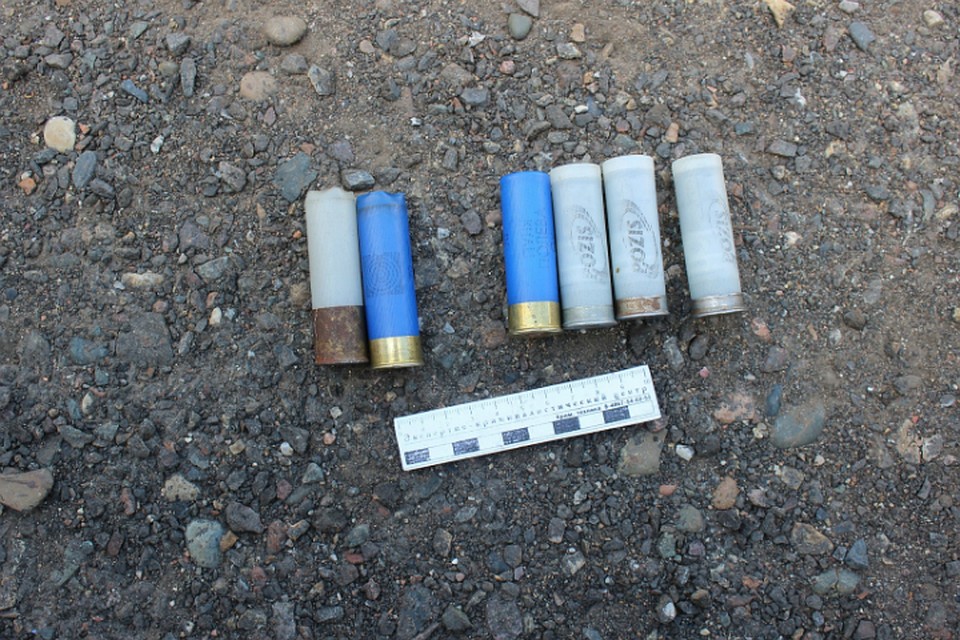Браконьерам в Красноярском крае не оставляют шансов безобразничать