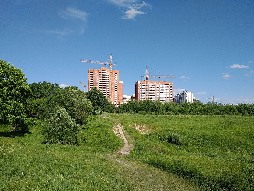 Лесопарк "Дружба"