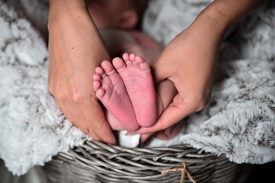 Фото: pixabay.com