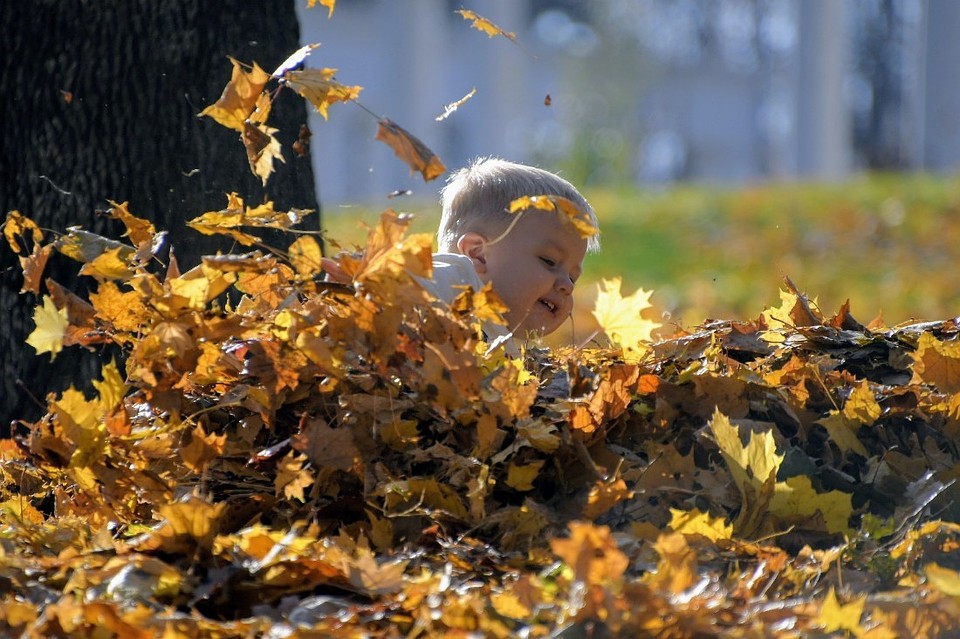 Фото: Алексей ФОКИН