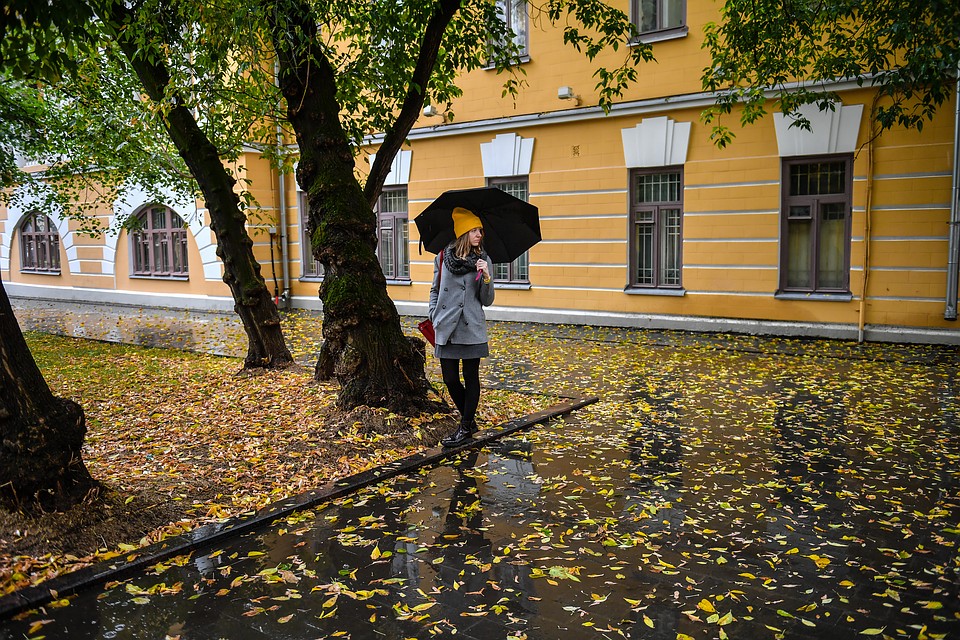 По области ожидается дождь