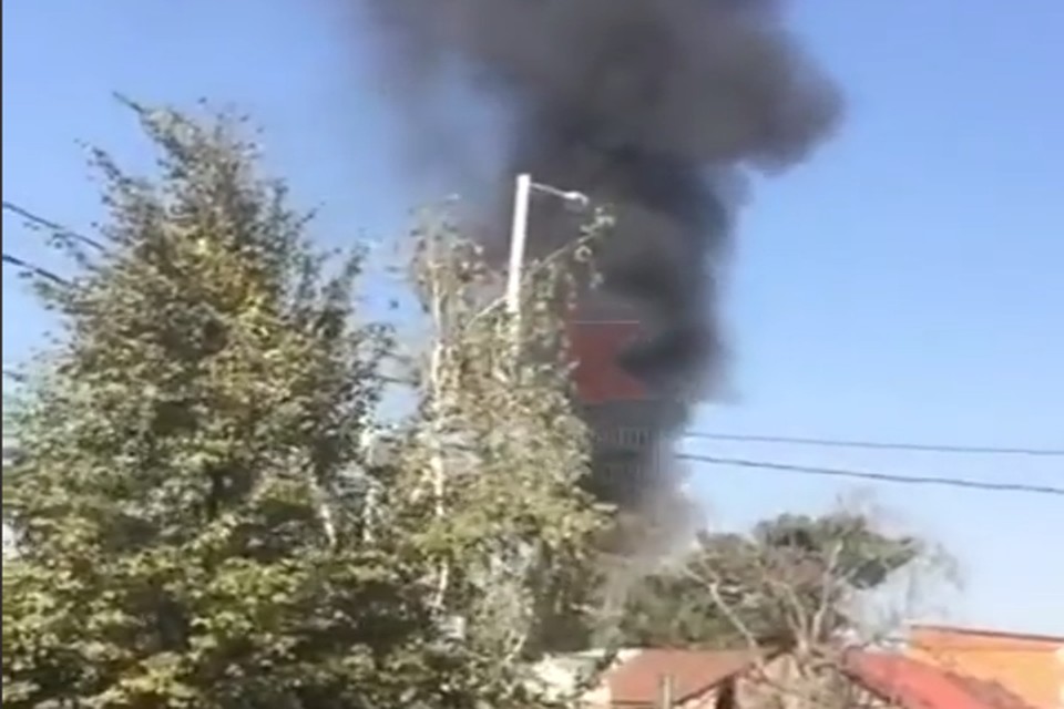 Фото: скриншот видео