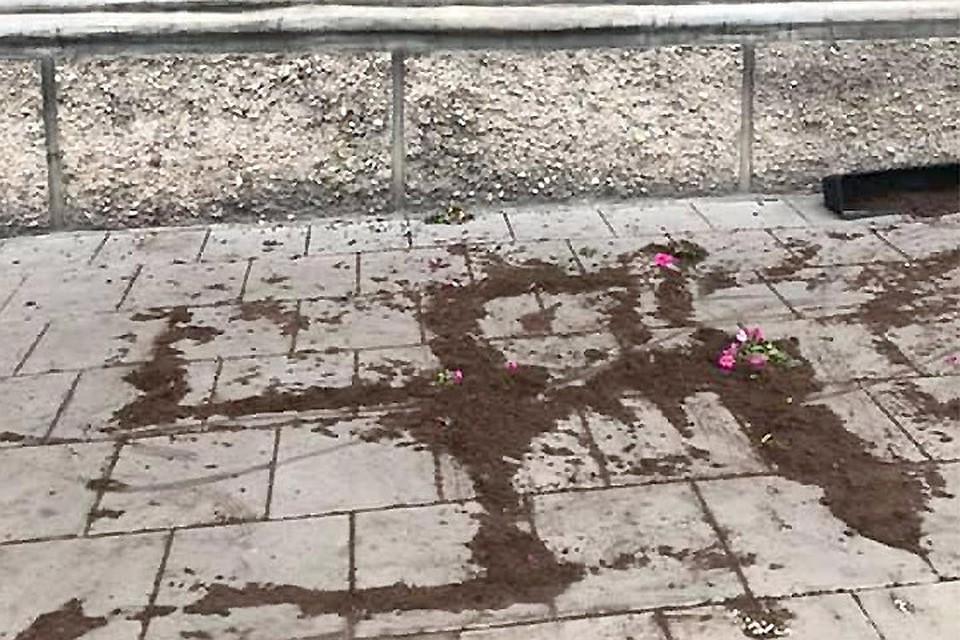 Перед зданием Еврейской общины Литвы изобразили свастику из земли. Фото: Facebook