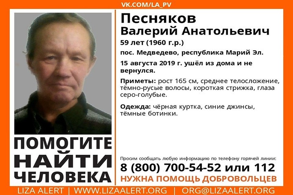 Фото: ПСО "Лиза Алерт"