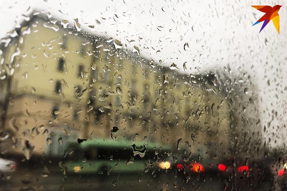 В Беларусь пришла осень