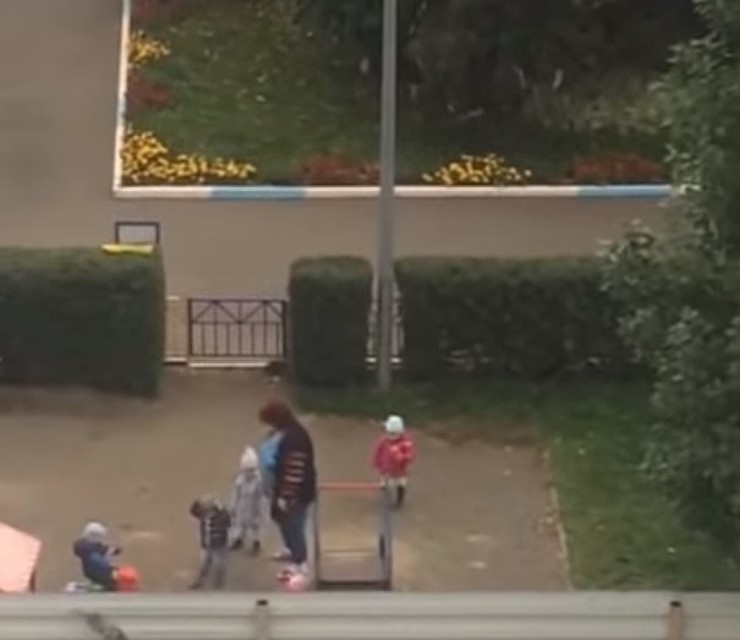 Стоп-кадр из видео
