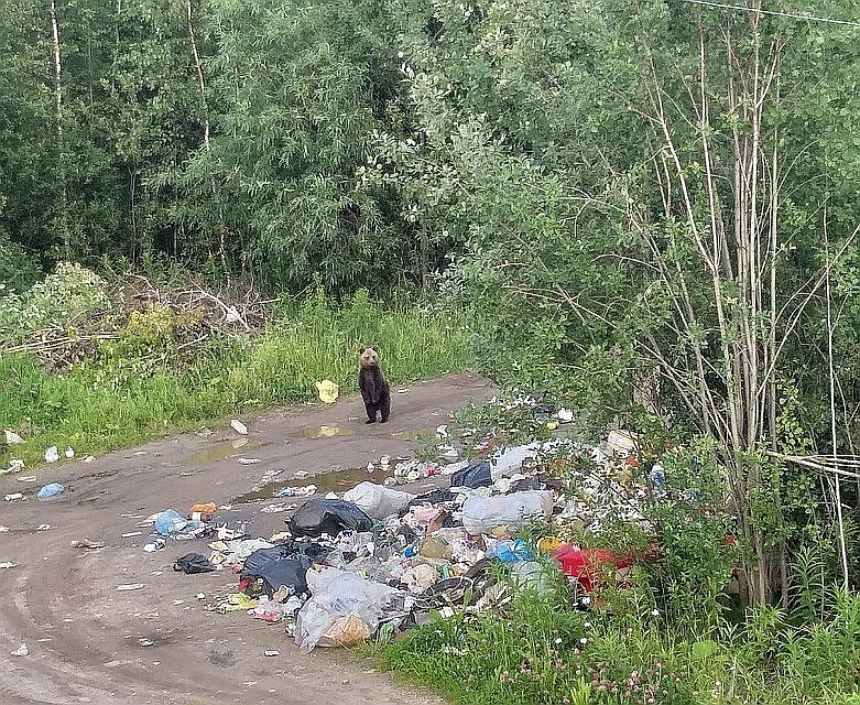 Фото: Наталья Литвинова
