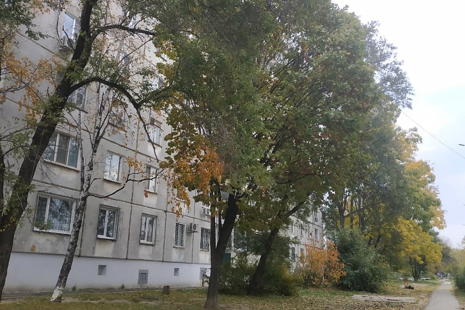 Погода в Хабаровске на 7 октября 2019 года: днем до +16, без осадков