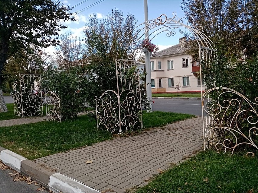 На площади больше 1,28 га высажено 125 краснолистных кленов. Фото пресс-службы администрации Губкинского городского округа
