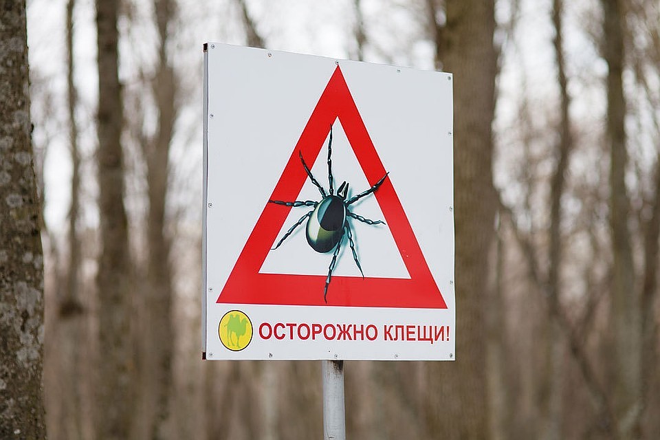Один человек погиб от лихорадки.