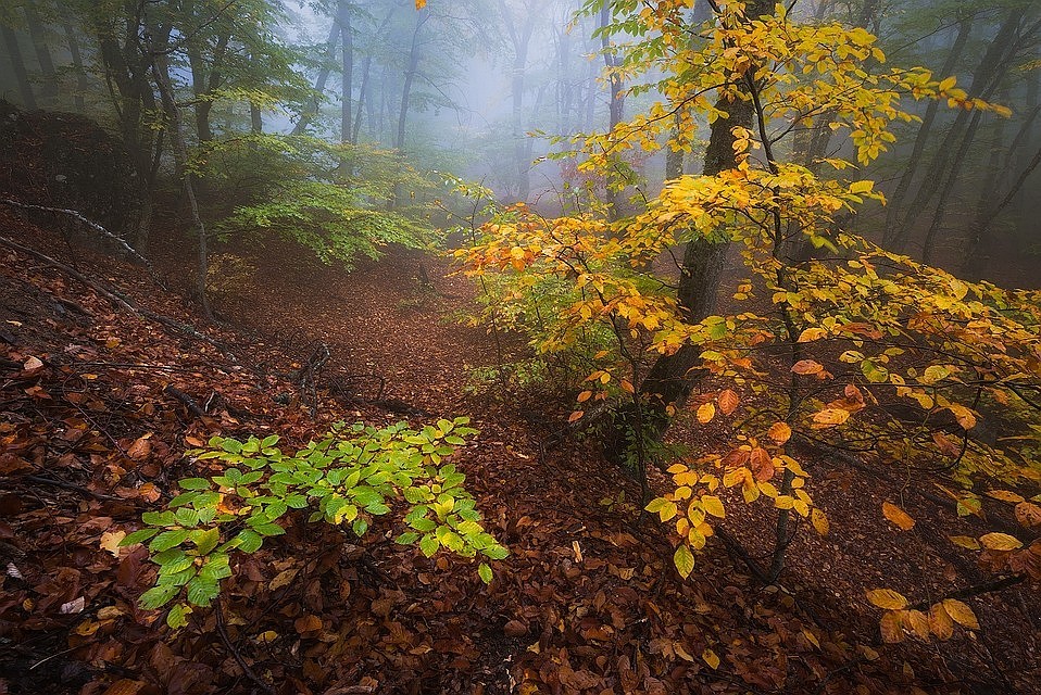 Днем потеплеет, но возможен туман. Фото: Вячеслав Лузанов