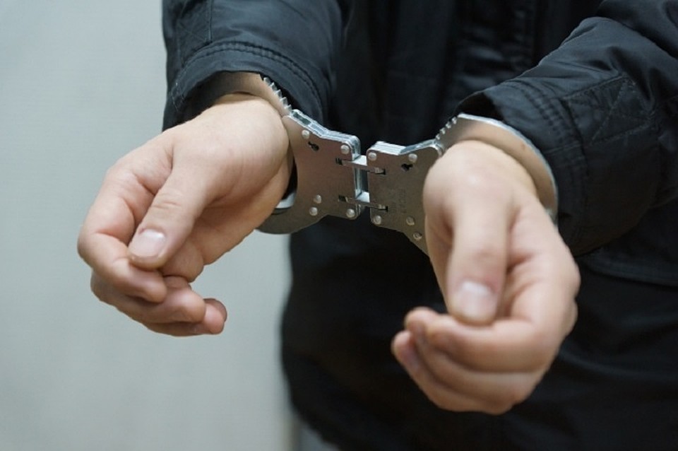 Полиция задержала подозреваемого в жестоком убийстве возлюбленной на даче в Ленобласти