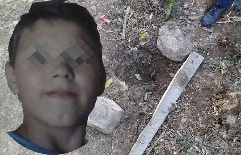 Для щенков специально выкопали могилки, а потом заживо их похоронили. Фото: Евгений Стоянов "КП", соцсети