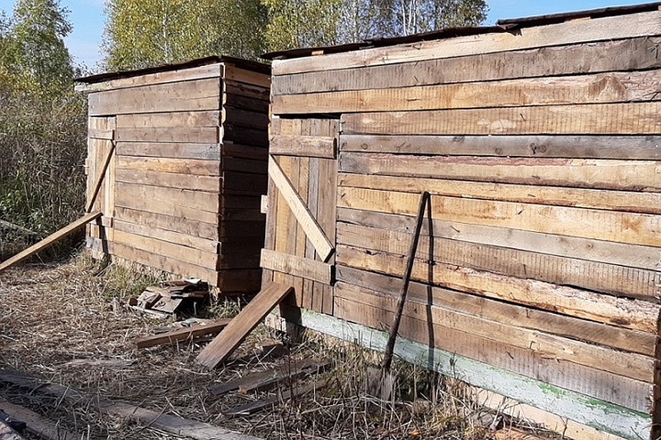 «Собачий концлагерь»: на дачах под Тюменью животные заперты в деревянных вольерах. Фото: Екатерина Муравицкая