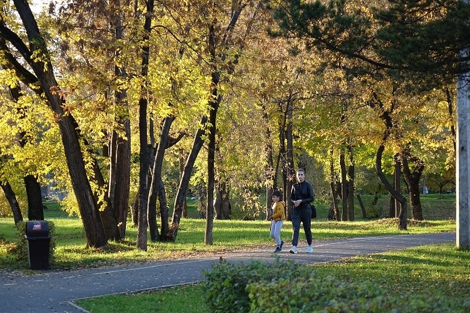 До +20 днем и -8 ночью: какой будет погода в Кузбассе в воскресенье