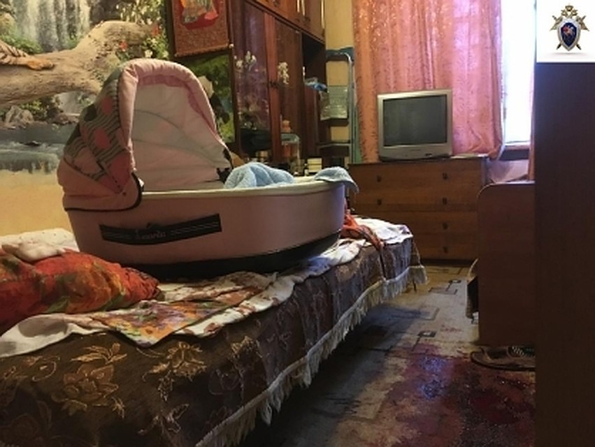 Жительница Твери обвиняется в убийстве новорожденной дочери Фото: СУ СК РФ по Тверской области
