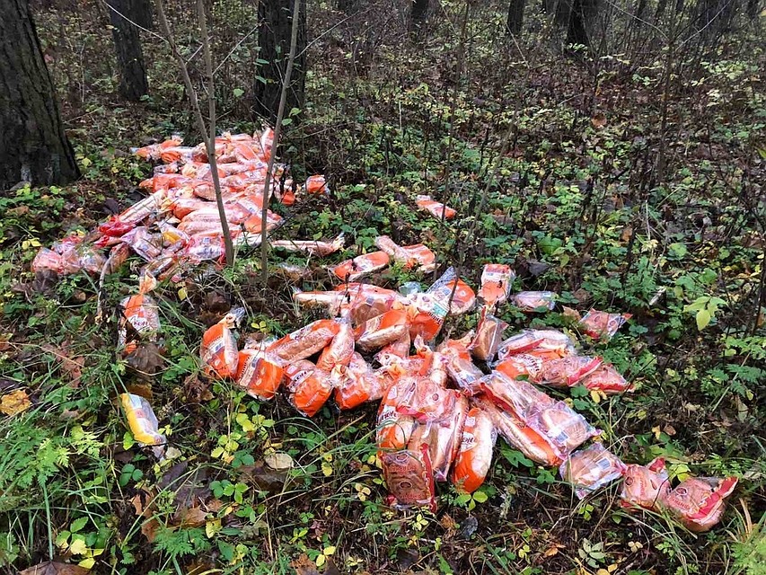 В Твери неизвестные раскидали по парку целые батоны Фото: vk.com/"News 69"/Анастасия Смородина
