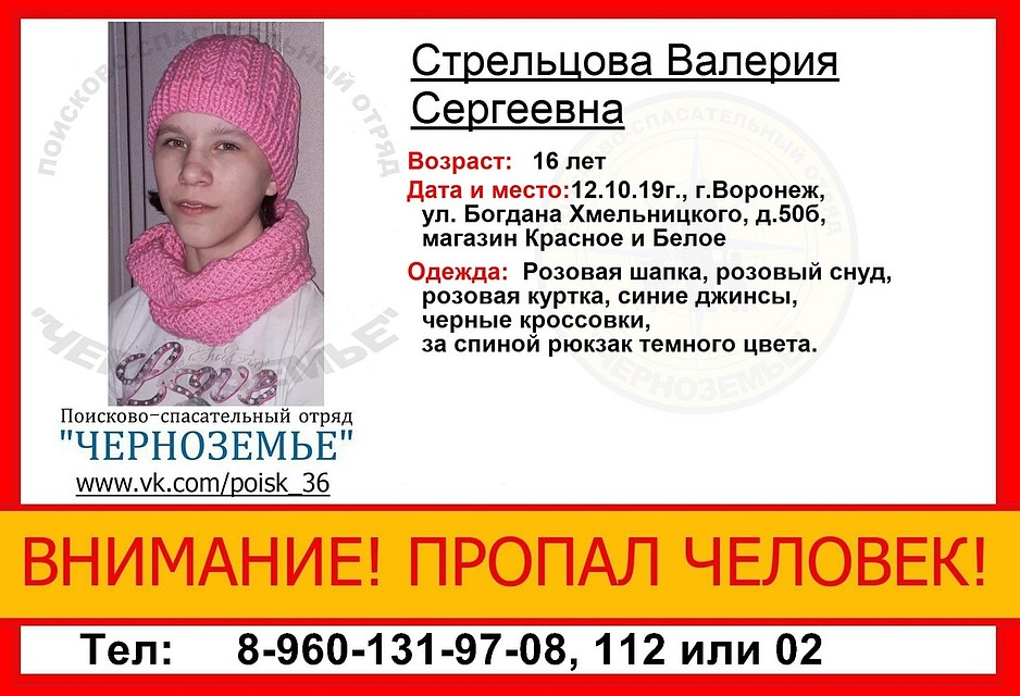 Фото: из группы поисково-спасательного отряда «Черноземье» в соцсети.